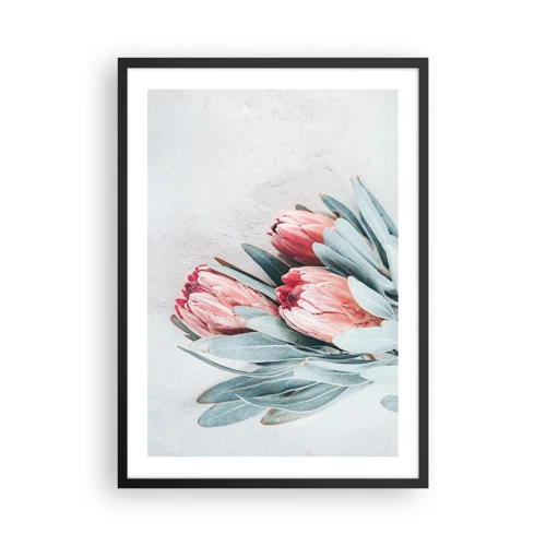 Poster in black frame - Ashamed of Their Own Beauty - 50x70 cm