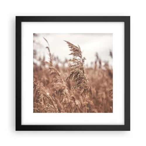 Poster in black frame - Autumn Has Arrived in the Fields - 30x30 cm