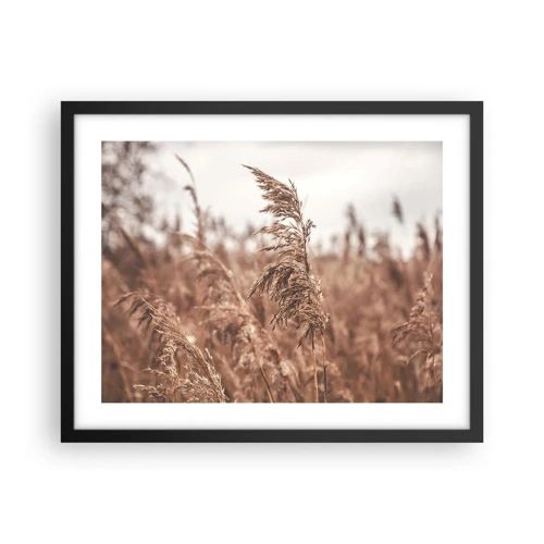 Poster in black frame - Autumn Has Arrived in the Fields - 50x40 cm