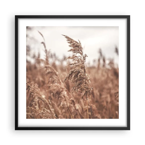 Poster in black frame - Autumn Has Arrived in the Fields - 50x50 cm