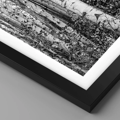 Poster in black frame - Birch Colonnade - 100x70 cm