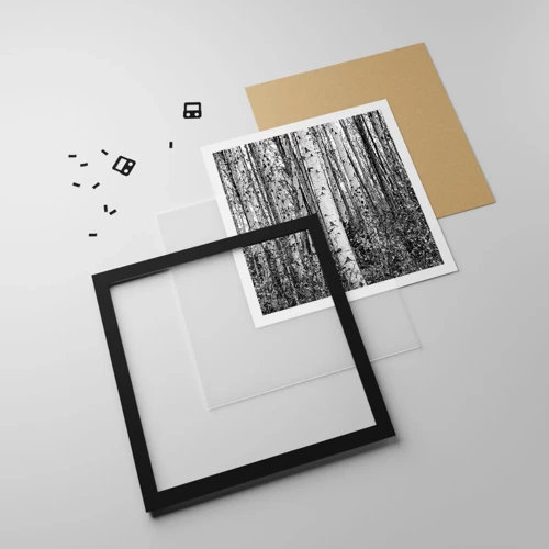 Poster in black frame - Birch Colonnade - 30x30 cm