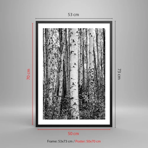 Poster in black frame - Birch Colonnade - 50x70 cm