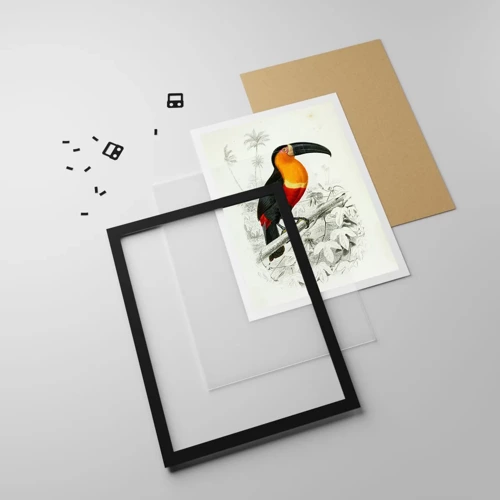 Poster in black frame - Bird Colours - 30x40 cm