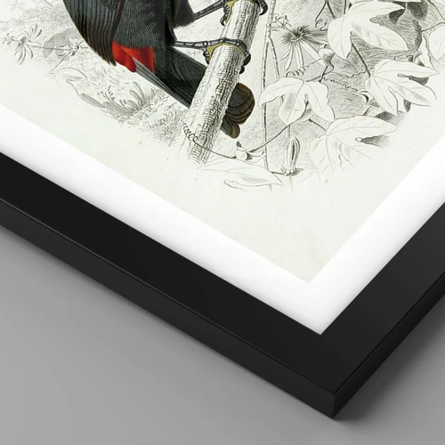 Poster in black frame - Bird Colours - 30x40 cm