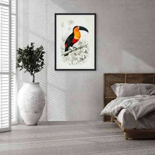 Poster in black frame - Bird Colours - 50x70 cm