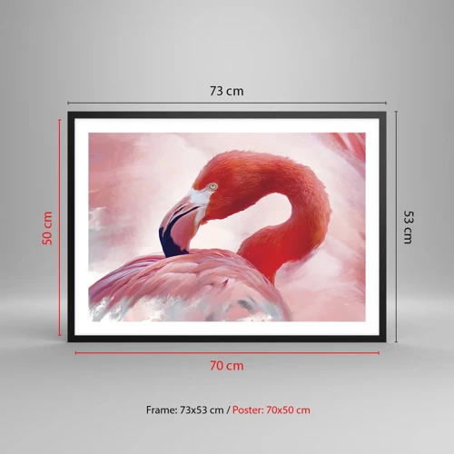 Poster in black frame - Bird Look - 70x50 cm