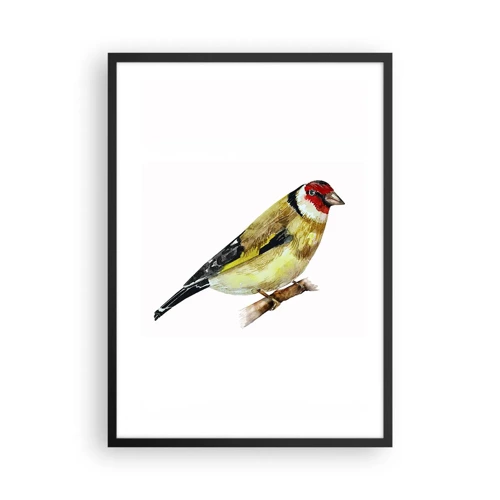 Poster in black frame - Bird Portrait  - 50x70 cm