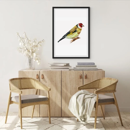 Poster in black frame - Bird Portrait  - 50x70 cm