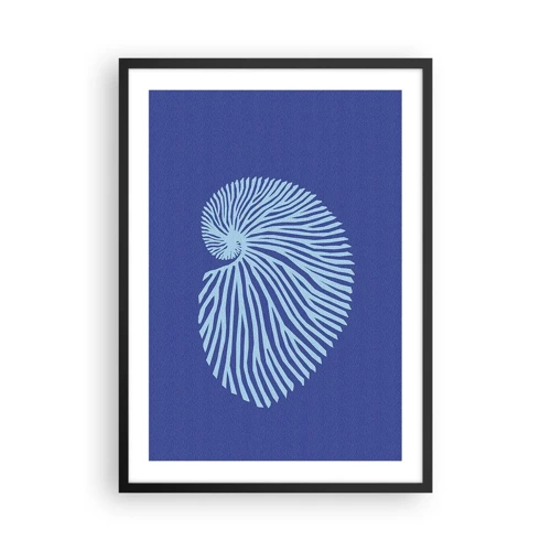 Poster in black frame - Birth of a Shell - 50x70 cm