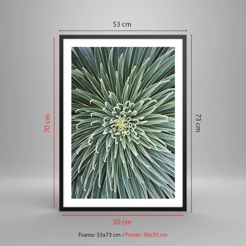 Poster in black frame - Birth of a Star - 50x70 cm
