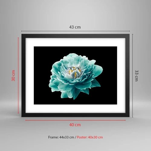 Poster in black frame - Blue and Gold Petals - 40x30 cm