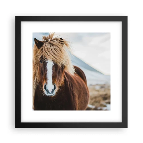 Poster in black frame - Can You Feel the Freedom? - 30x30 cm