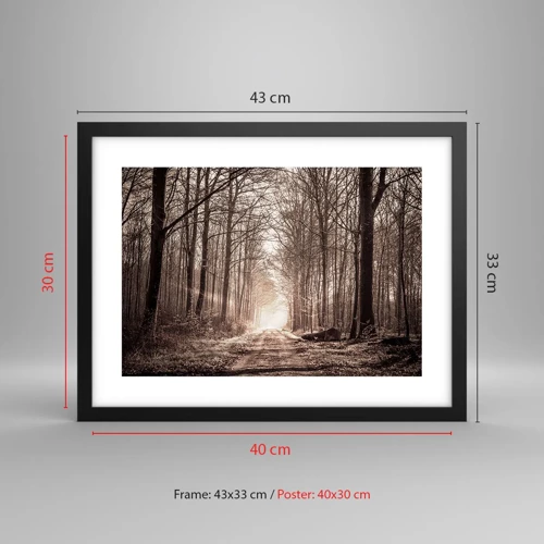 Poster in black frame - Cathedral of the Forest - 40x30 cm