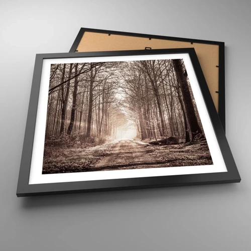 Poster in black frame - Cathedral of the Forest - 40x40 cm