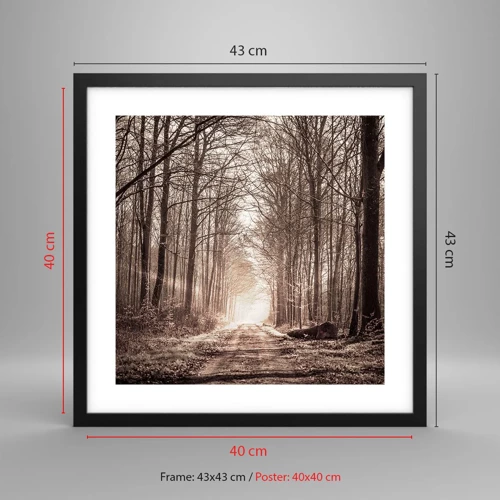 Poster in black frame - Cathedral of the Forest - 40x40 cm