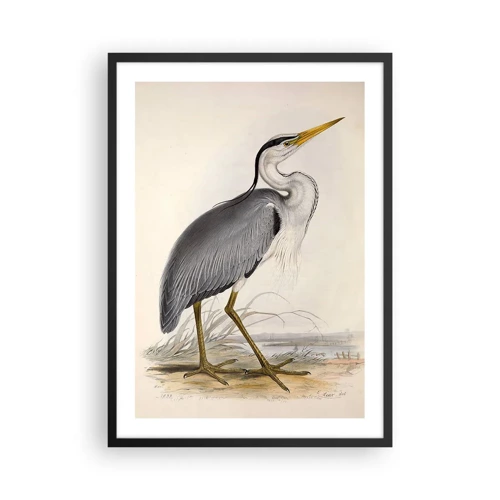 Poster in black frame - Charm of a Heron - 50x70 cm