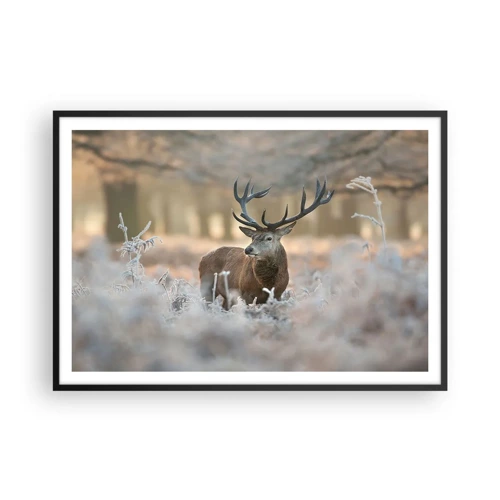 Poster in black frame - Chilly Morning - 100x70 cm