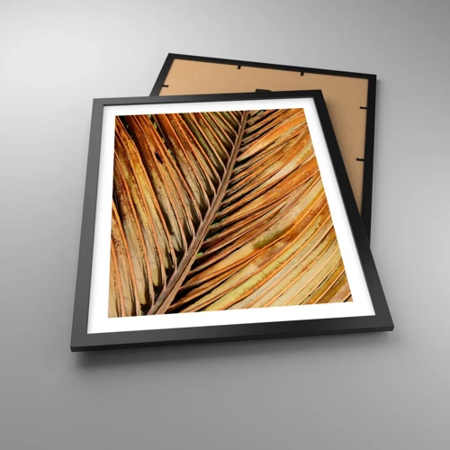 Poster in black frame - Coconut Gold - 40x50 cm