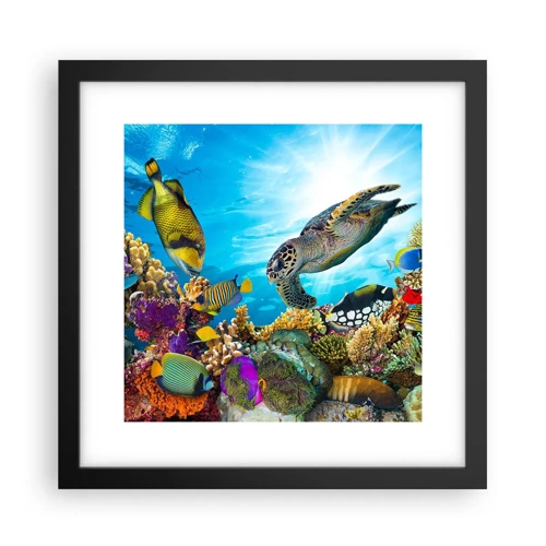 Poster in black frame - Coral Promenade - 30x30 cm