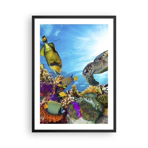 Poster in black frame - Coral Promenade - 50x70 cm