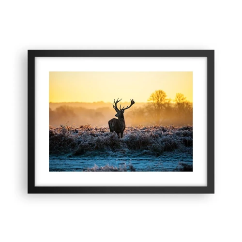 Poster in black frame - Crowned in Its Kingdom - 40x30 cm