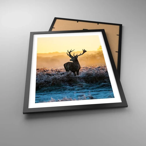 Poster in black frame - Crowned in Its Kingdom - 40x50 cm