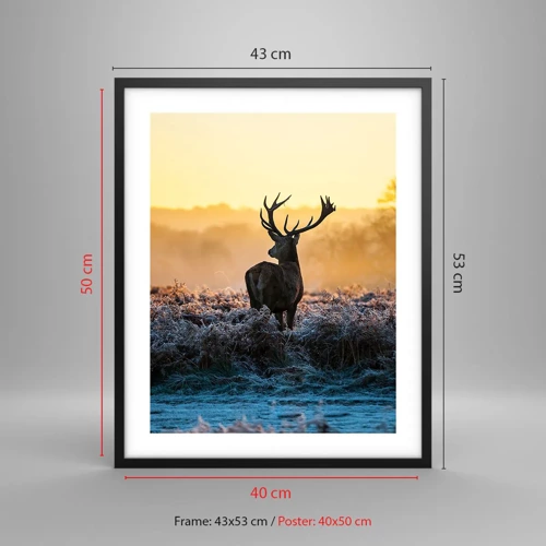 Poster in black frame - Crowned in Its Kingdom - 40x50 cm