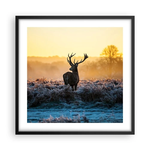 Poster in black frame - Crowned in Its Kingdom - 50x50 cm