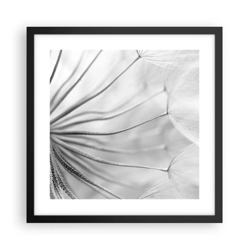 Poster in black frame - Dandelion Kites - 40x40 cm