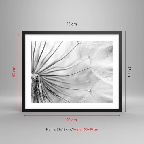 Poster in black frame - Dandelion Kites - 50x40 cm