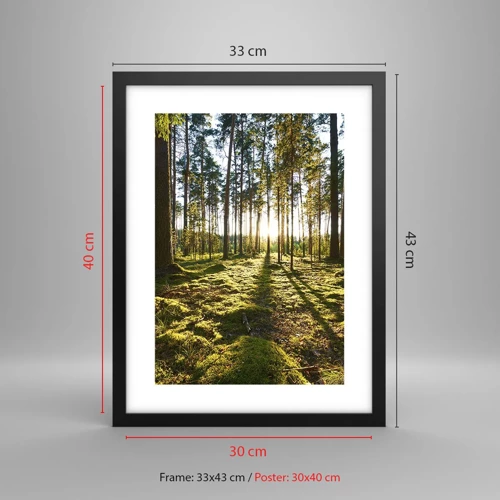 Poster in black frame - Deep in the Forest - 30x40 cm