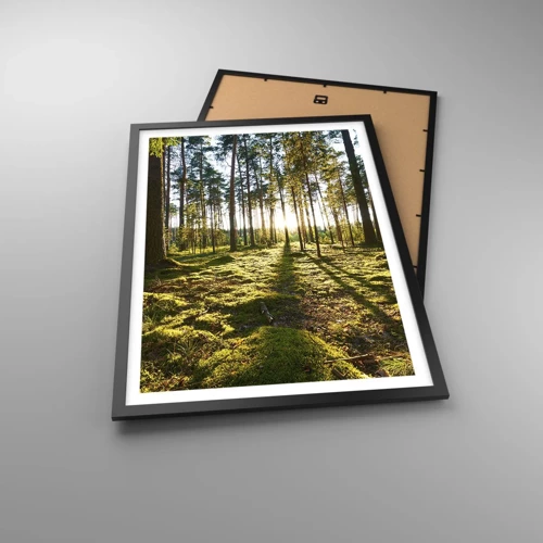 Poster in black frame - Deep in the Forest - 50x70 cm