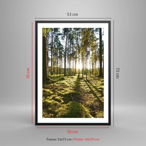 Poster in black frame - Deep in the Forest - 50x70 cm