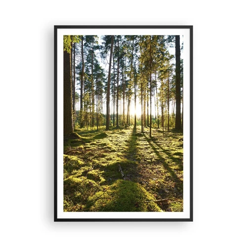 Poster in black frame - Deep in the Forest - 70x100 cm