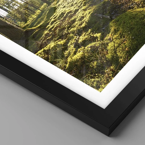 Poster in black frame - Deep in the Forest - 70x50 cm
