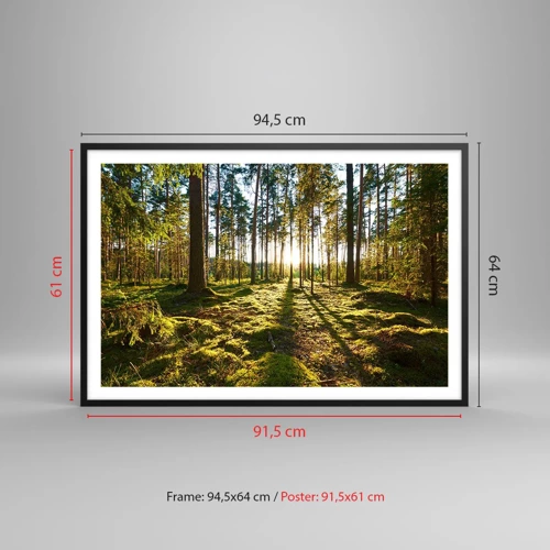 Poster in black frame - Deep in the Forest - 91x61 cm