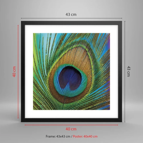 Poster in black frame - Eye to Eye - 40x40 cm