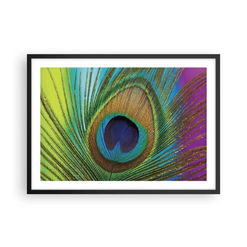 Poster in black frame - Eye to Eye - 70x50 cm