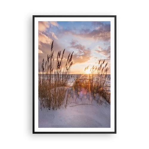 Poster in black frame - Farewell to the Sun and Wind - 70x100 cm