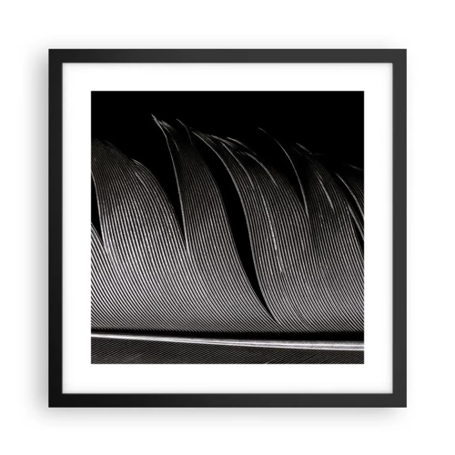 Poster in black frame - Feather - Wonderful Constract - 40x40 cm