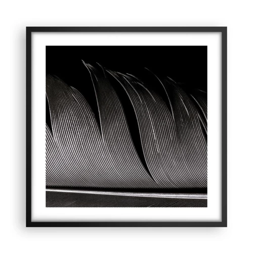 Poster in black frame - Feather - Wonderful Constract - 50x50 cm