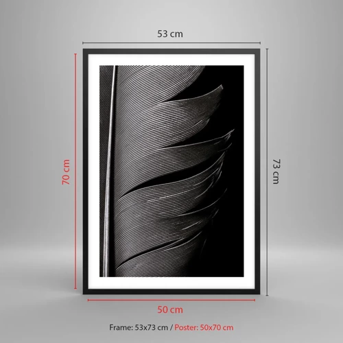 Poster in black frame - Feather - Wonderful Constract - 50x70 cm