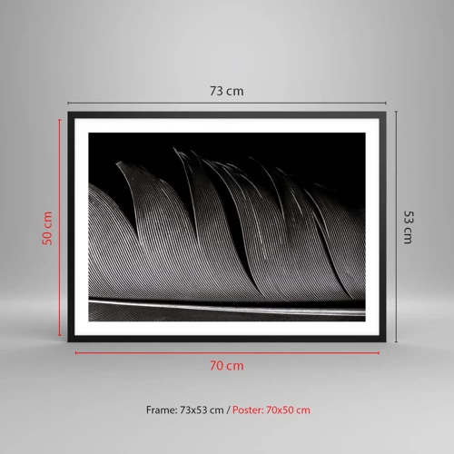 Poster in black frame - Feather - Wonderful Constract - 70x50 cm