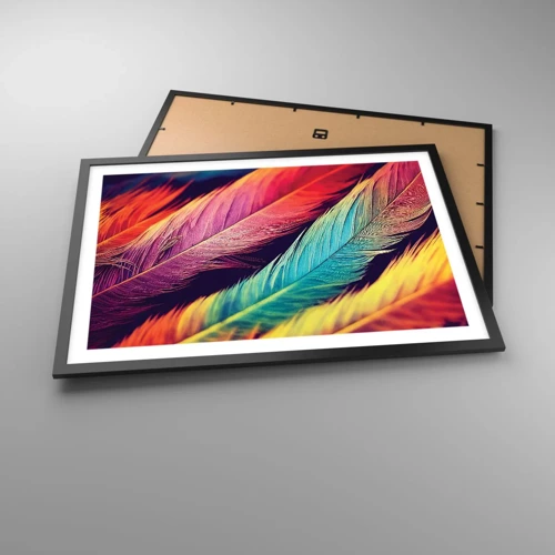 Poster in black frame - Feathered Rainbow - 70x50 cm