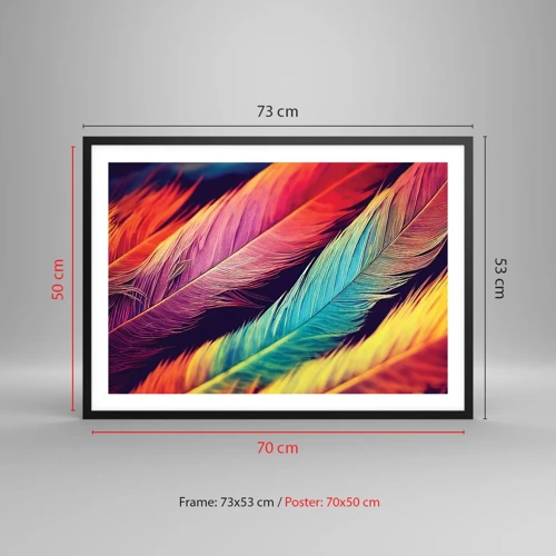 Poster in black frame - Feathered Rainbow - 70x50 cm