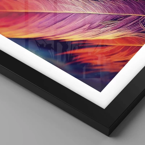 Poster in black frame - Feathered Rainbow - 70x50 cm