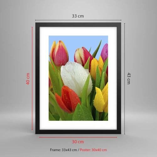 Poster in black frame - Floral Rainbow in Dew Drops - 30x40 cm