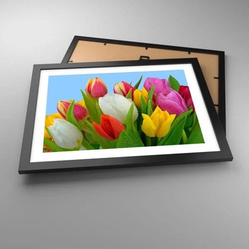 Poster in black frame - Floral Rainbow in Dew Drops - 40x30 cm