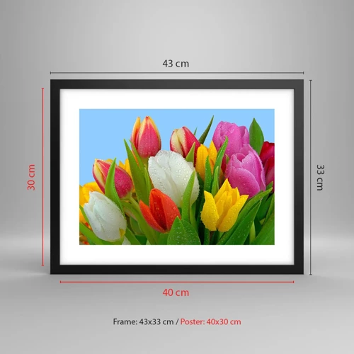 Poster in black frame - Floral Rainbow in Dew Drops - 40x30 cm